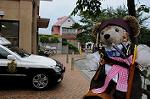 Dcim6984/DSC_0493