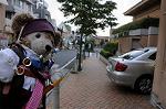 Dcim6984/DSC_0510