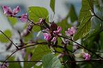 Dcim6986/DSC_6405