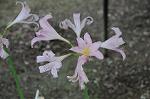 Dcim6987/DSC_3970