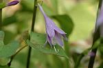 Dcim7003/DSC_6450