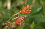 Dcim7003/DSC_6540