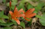 Dcim7003/DSC_6567