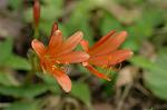 Dcim7003/DSC_6568