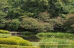 Dcim7004/DSC_5444