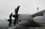 Dcim7009/DSC_6017