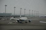 Dcim7014/DSC_6239