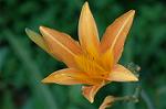 Dcim7024/DSC_6607