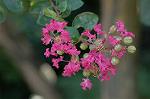 Dcim7024/DSC_6647