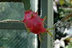 Dcim7026/DSC_6879