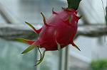 Dcim7026/DSC_6881