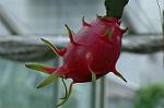 Dcim7026/DSC_6884
