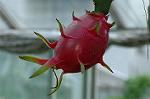 Dcim7026/DSC_6885