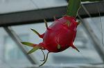 Dcim7026/DSC_6889