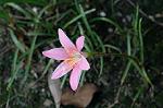 Dcim7026/DSC_6922