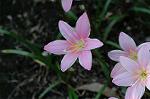 Dcim7026/DSC_6939
