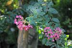 Dcim7027/DSC_7177
