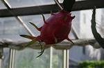 Dcim7027/DSC_7251