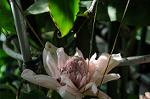 Dcim7027/DSC_7266