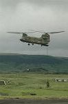 Dcim7041/DSC_7335