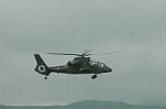 Dcim7044/DSC_7801