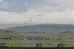 Dcim7059/DSC_7649