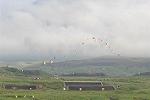 Dcim7059/DSC_7661