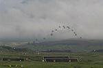 Dcim7059/DSC_7663