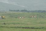 Dcim7061/DSC_7903