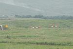 Dcim7061/DSC_7904