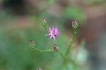 Dcim7068/DSC_7983