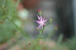Dcim7068/DSC_7984
