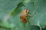 Dcim7068/DSC_8012