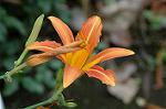 Dcim7068/DSC_8018