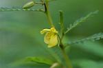 Dcim7068/DSC_8072