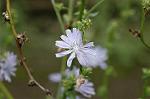 Dcim7069/DSC_8115