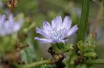 Dcim7069/DSC_8119