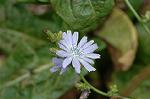 Dcim7069/DSC_8124