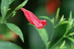 Dcim7069/DSC_8206
