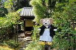 Dcim7072/DSC_0112
