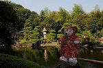Dcim7073/DSC_0203