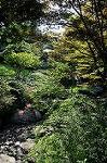 Dcim7073/DSC_0217