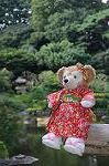 Dcim7073/DSC_0220