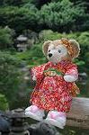 Dcim7073/DSC_0222