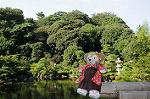 Dcim7073/DSC_0225
