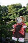 Dcim7073/DSC_0235