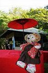 Dcim7073/DSC_0265