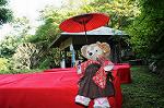 Dcim7073/DSC_0269