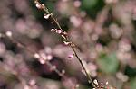Dcim7074/DSC_8211