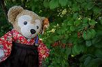Dcim7075/DSC_0337